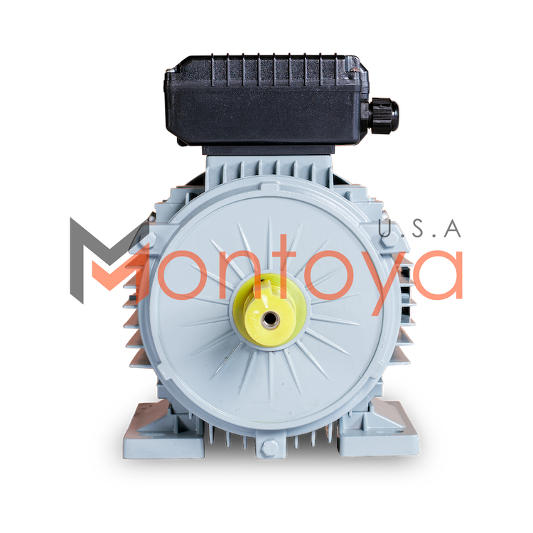 DINAMO ELEKTROMOTOR 1,5 HP 1,1 KW 220V MONTOYA